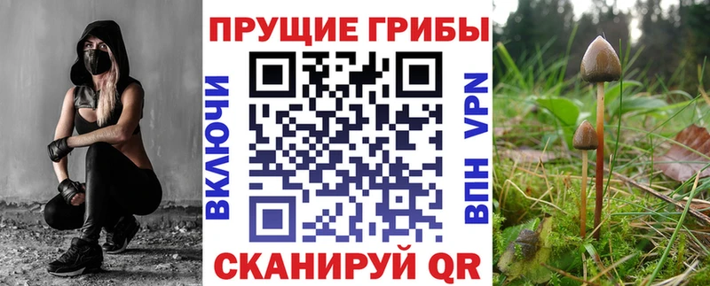 Псилоцибиновые грибы MAGIC MUSHROOMS  Купить закладки  Киселёвск 